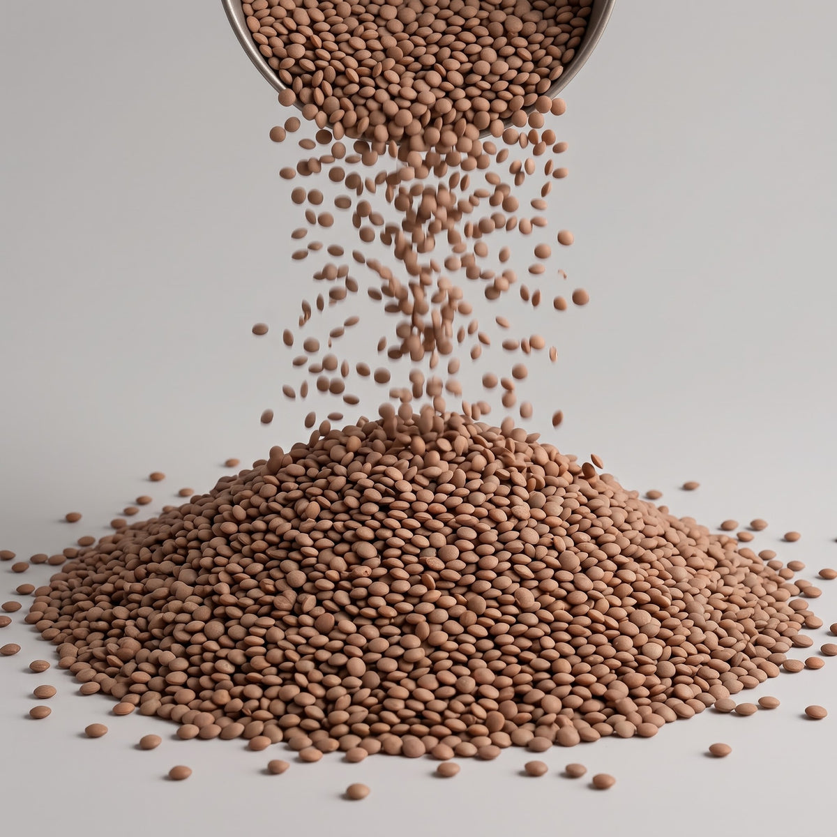Pure Single Origin Premium Whole Masoor -1 Kg